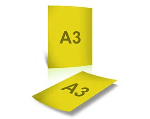 Payment Voucher Printing Dubai