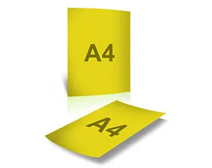 Petty Cash Voucher Printing Dubai